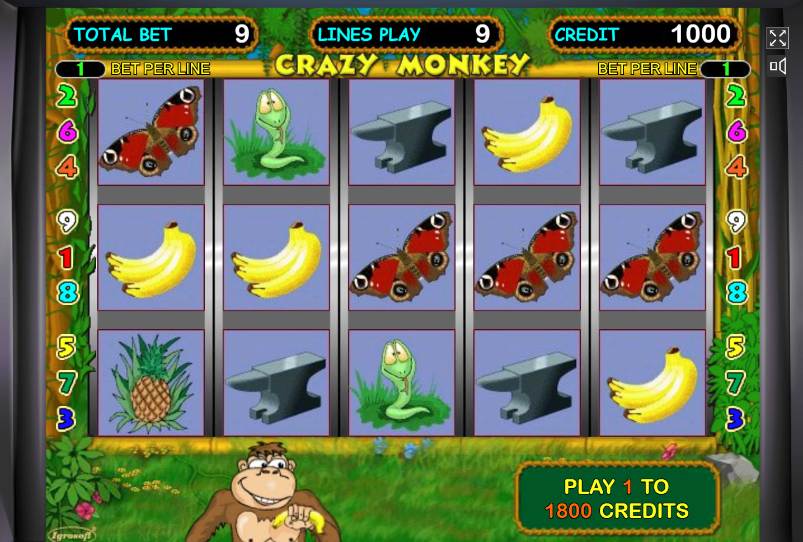 игры на деньги обезьянки